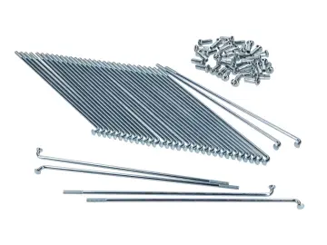 Speichen Satz 1,2x158mm 17 Zoll für Piaggio Bravo, Boxer, Ciao (Hinterrad)